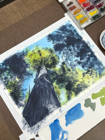 Beneath the Redwoods, Sonoma, watercolor painting
