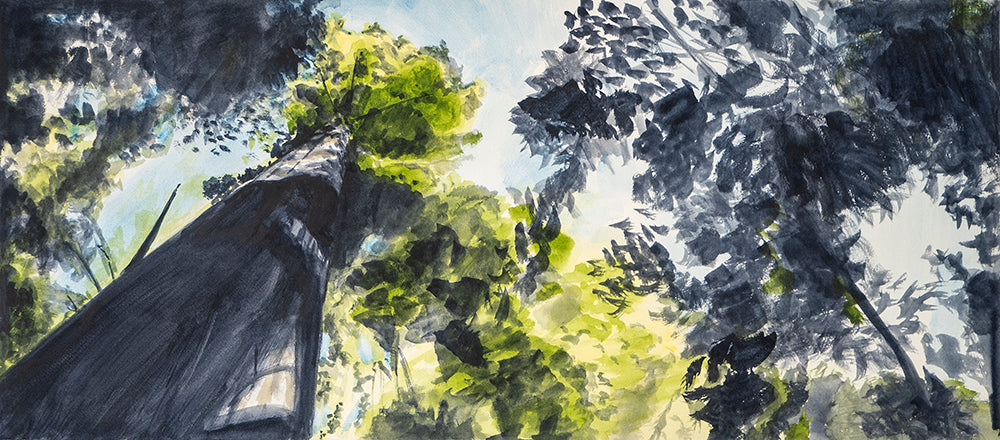 Beneath the Redwoods 2, Sonoma, watercolor painting