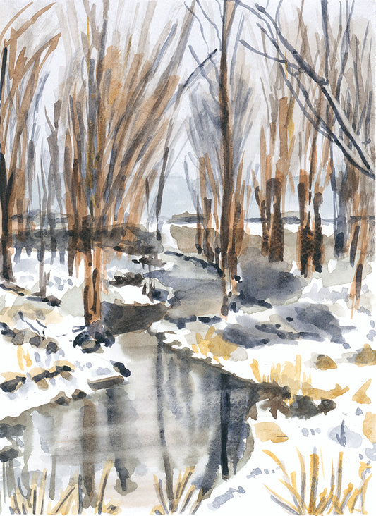 Edge of Smallwood Lake, Upstate New York, watercolor painting