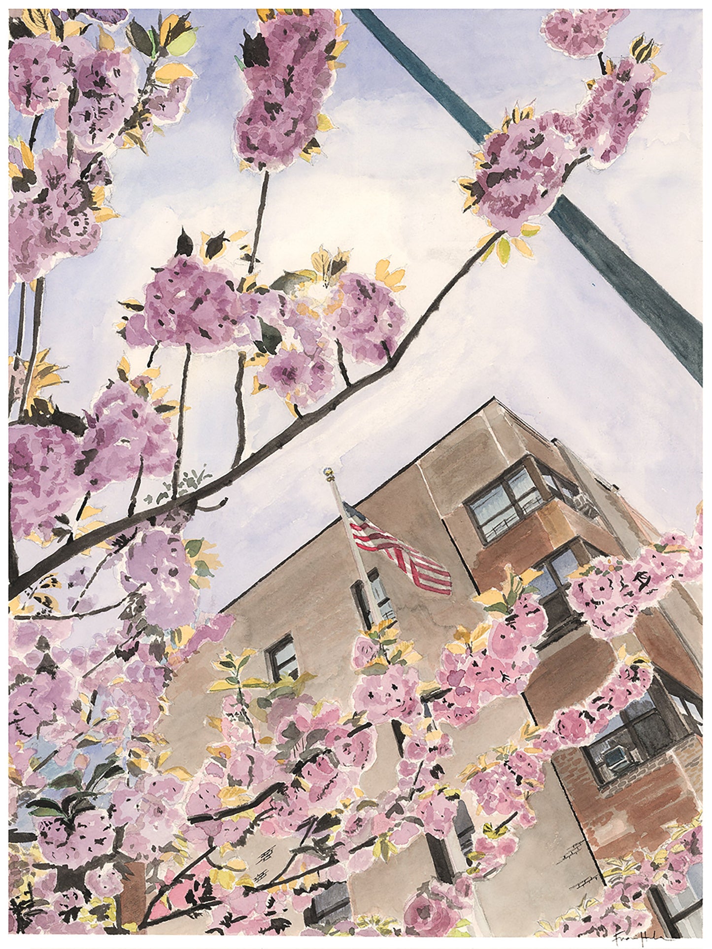 Cherry Blossoms on Cabrini, American Flag